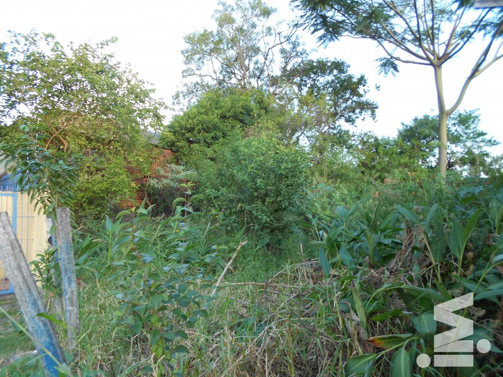 Terreno Centro Canoas